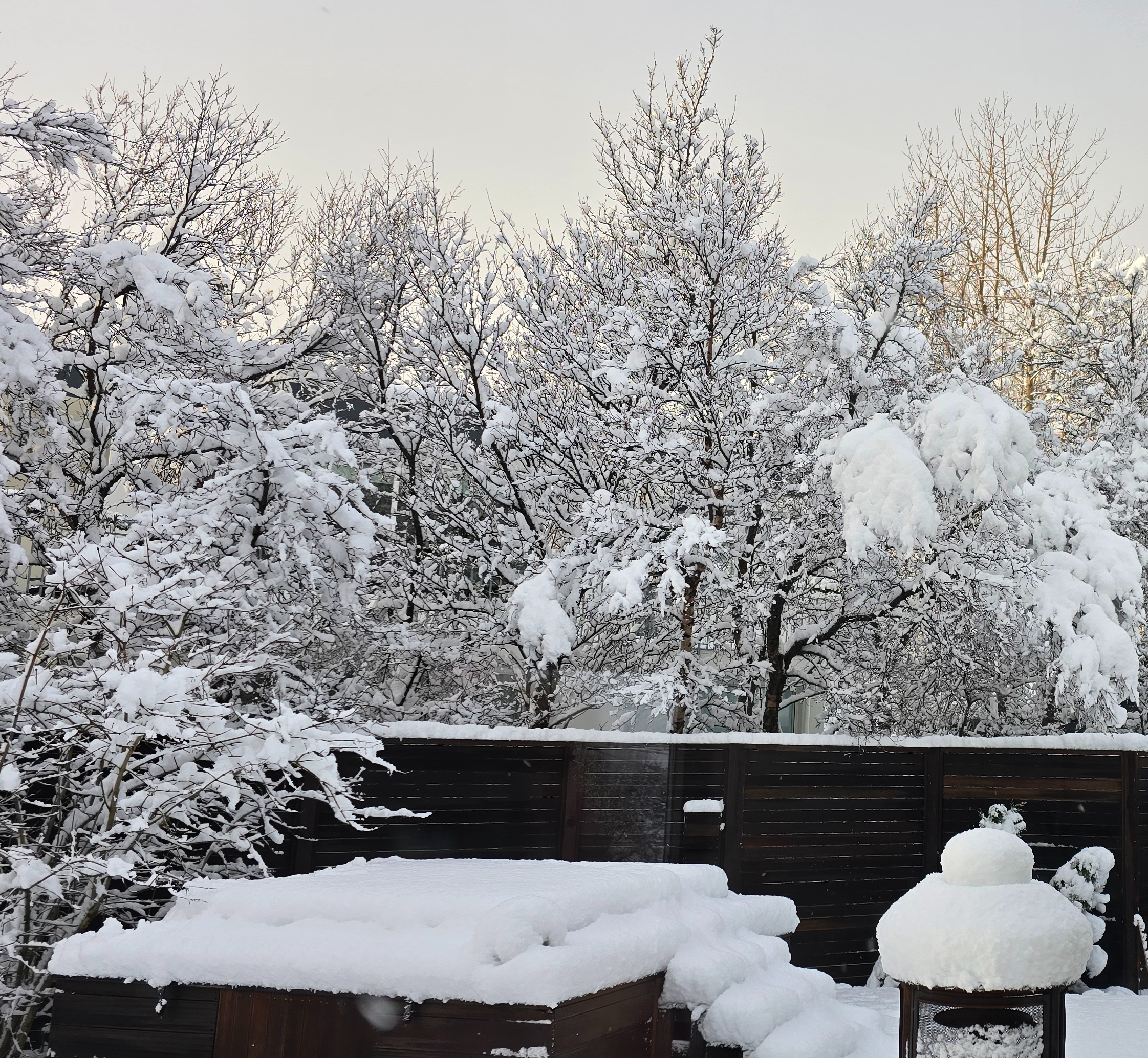 b16snow