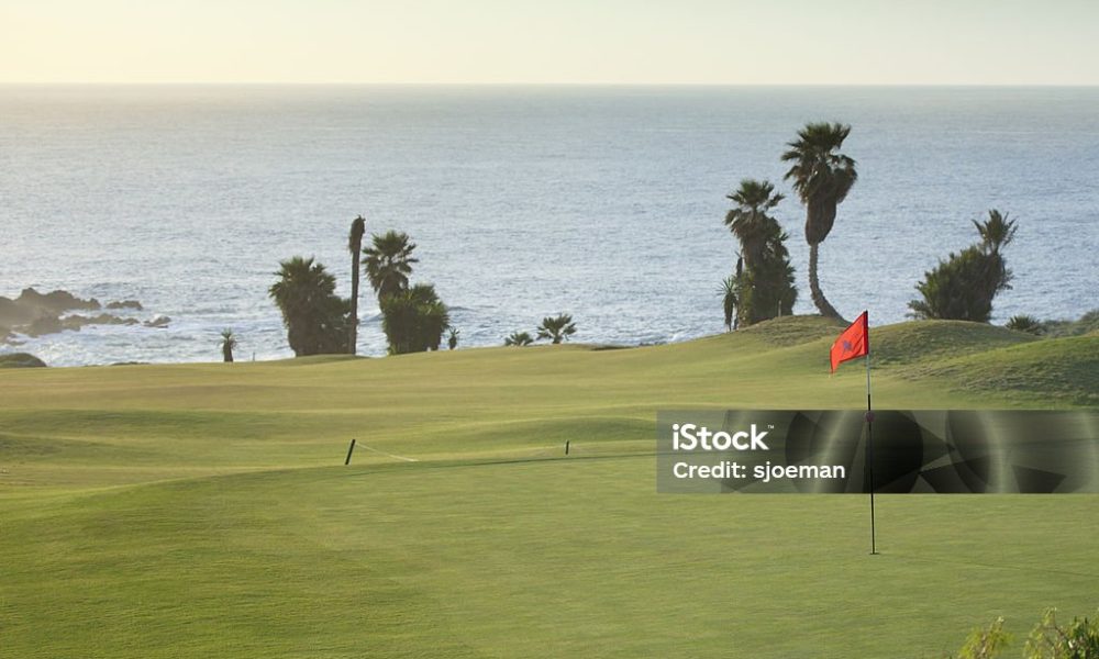 Golf green on a golf course.See more golf images: